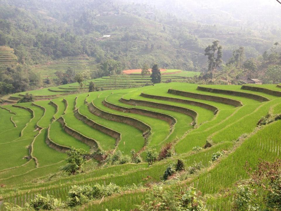 Ngan Nga Bac Ha Hotel Exterior foto